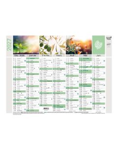 Calendars 14 months