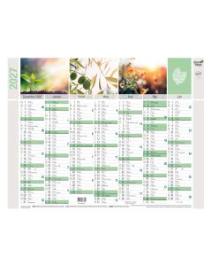 Calendars 14 months