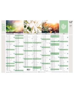 Calendars 14 months