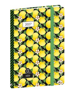 Calendar year planners Weekly