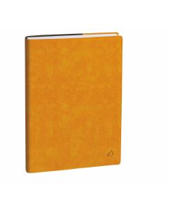School year planners Daily