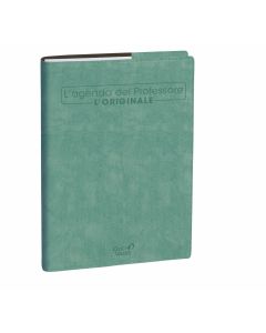 Teacher planners 2 weeks on 2 pages