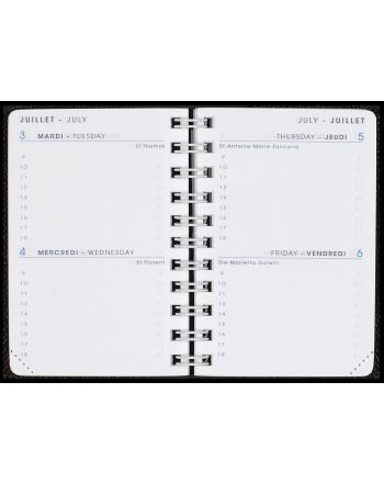Calendar year planners 2 days per page Gold edge