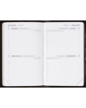 Planner refills 2 days per page Gold edge