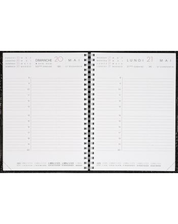 Calendar year planners Daily Gold edge