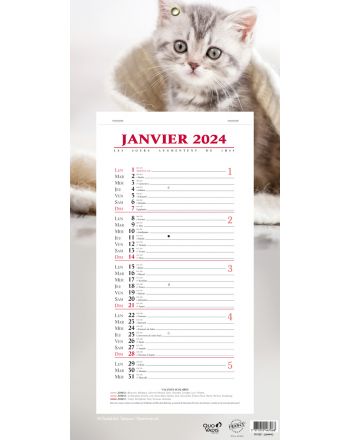 Calendars 12 months Animals