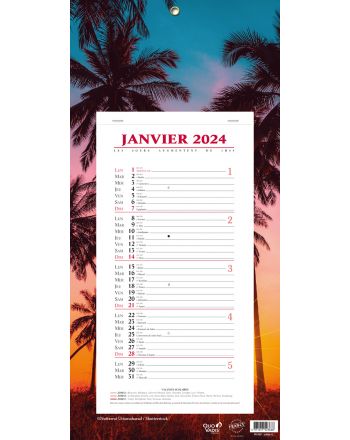 Calendars 12 months Evasion