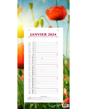 Calendars 12 months Fleurs