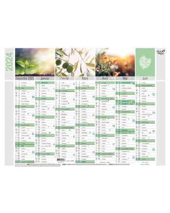 Calendars 14 months Equology