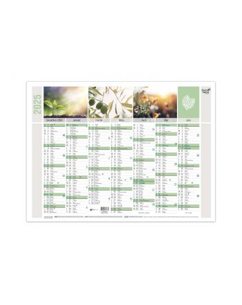 Calendars 14 months