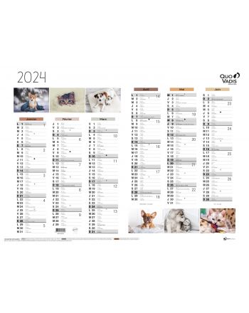 Calendars 12 months Fantasy