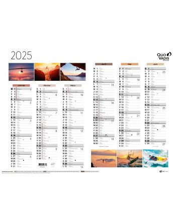 Calendars 12 months