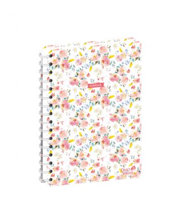 Notebooks Dotted and lined Daisy